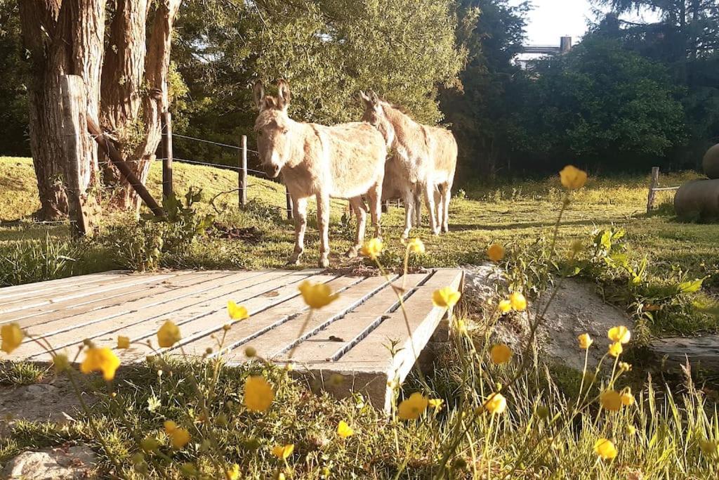 La Parenthese La Ou Le Temps S'Arrete. Daire Gouvy Dış mekan fotoğraf